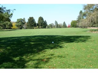 Property photo 16 - REAL ESTATE & RESTAURANT EQUIPMENT AUCTION - 80.79+/- ACRES OFFERED IN 5 TRACTS IN INGHAM CO., MICHIGAN